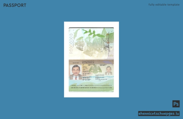 Dominica-Pass (neu ab 2019) – Beispielvorschau
